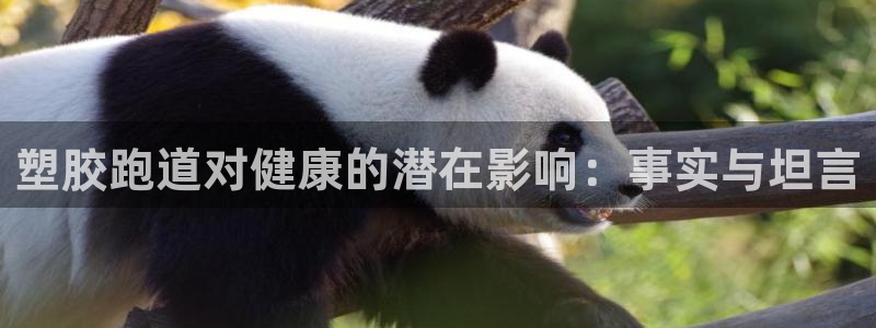 尊龙凯时人生就是博·(中国)官网官：塑胶跑道对健康的潜在影响：事实与坦言