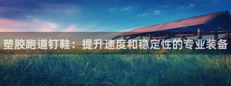 尊龙人生就是博登录：塑胶跑道钉鞋：提升速度和稳定性的专业装备