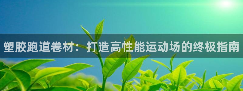 尊龙凯时官网正规吗：塑胶跑道卷材：打造高性能运动场的终极指南