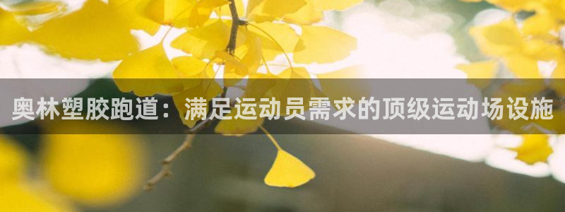尊龙官网免费下载安卓：奥林塑胶跑道：满足运动员需求的顶级运动场设施