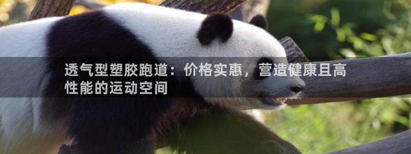 尊龙凯时台子：透气型塑胶跑道：价格实惠，营造健康且高
性能的运动空间