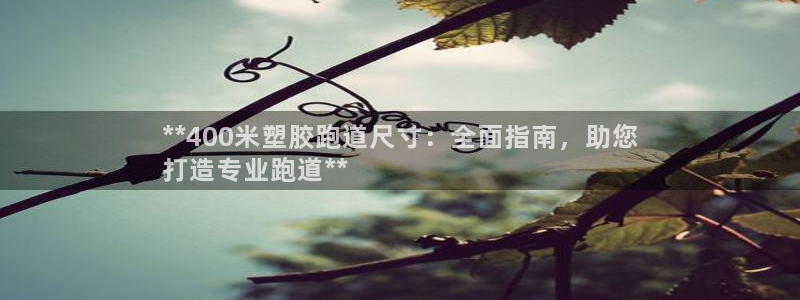 尊龙凯时ag旗舰厅官方网站：**400米塑胶跑道尺寸：全面指南，助您
打造专业跑道**