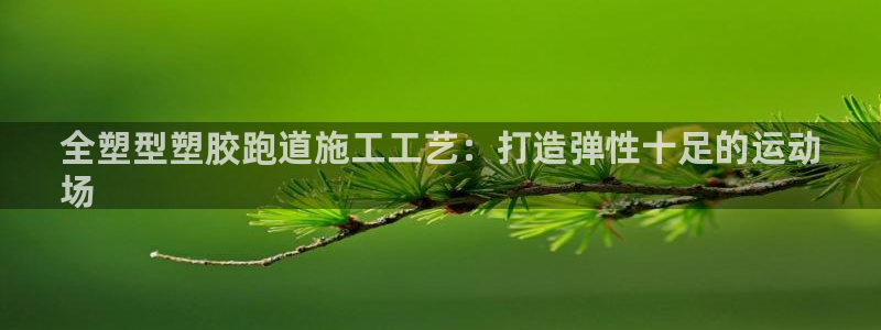 K66凯时国际平台官网：全塑型塑胶跑道施工工艺：打造弹性十足的运动
场
