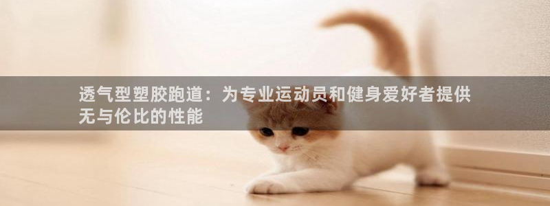 尊龙ag旗舰厅下载：透气型塑胶跑道：为专业运动员和健身爱好者提供
无与伦比的性能