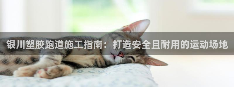 尊龙d88平台登录：银川塑胶跑道施工指南：打造安全且