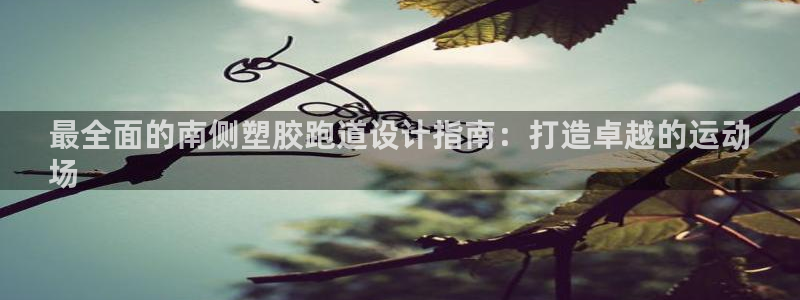 z6尊龙平台是哪里的：最全面的南侧塑胶跑道设计指南：打造卓越的运动
场