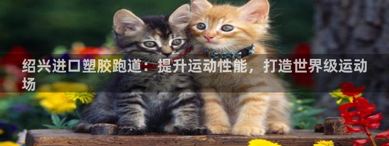 尊龙凯时能不能提现?：绍兴进口塑胶跑道：提升运动性能，打造世界级运动
场