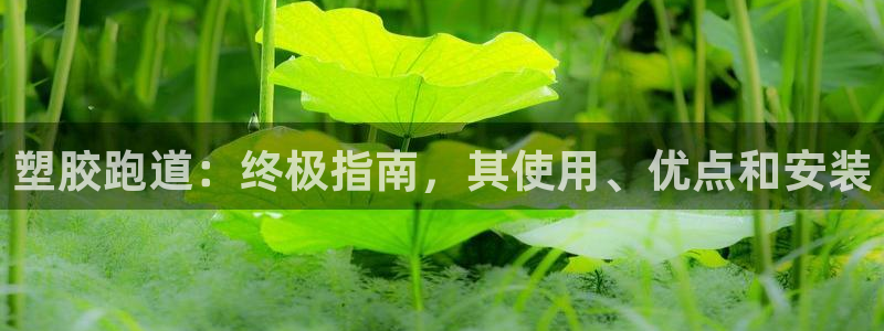 尊龙目前在哪：塑胶跑道：终极指南，其使用、优点和安装