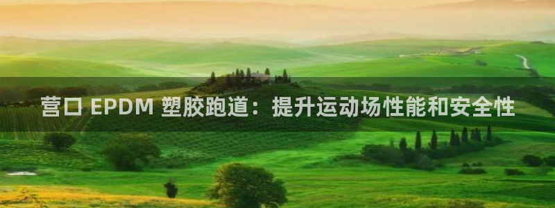 Z6尊龙凯时官方：营口 EPDM 塑胶跑道：提升运动场性能和安全性
