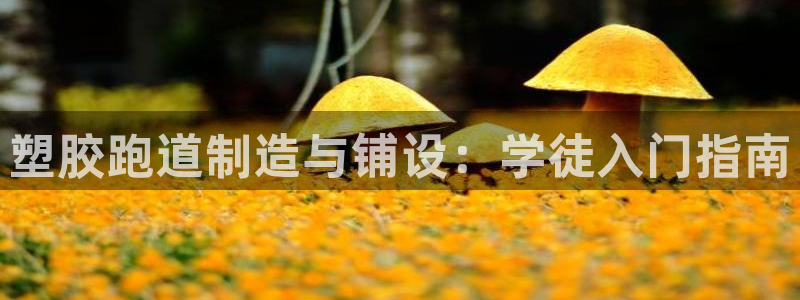 尊龙凯时人生就博：塑胶跑道制造与铺设：学徒入门指南