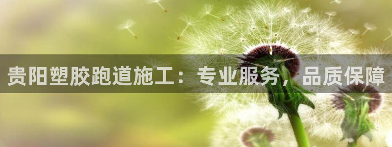 尊龙凯时法拉币