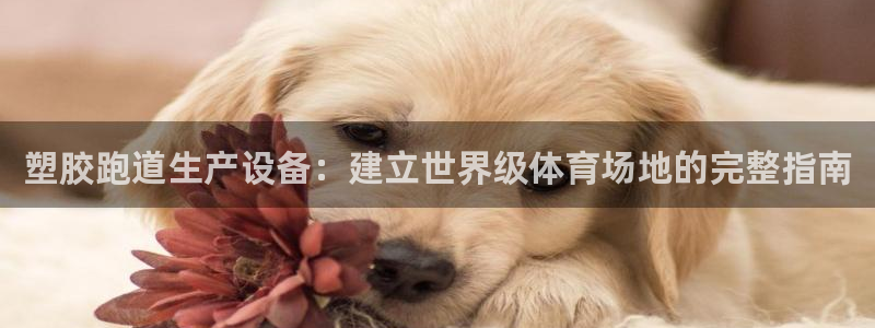 尊龙官方平台：塑胶跑道生产设备：建立世界级体育场地的