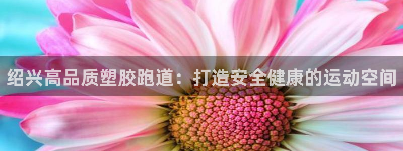 凯时官网手机版下载：绍兴高品质塑胶跑道：打造安全健康