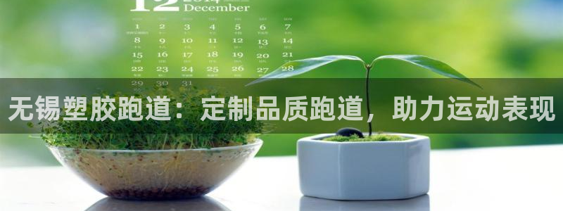新版尊龙99：无锡塑胶跑道：定制品质跑道，助力运动表现