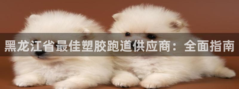 尊龙凯时取款一直支付中
