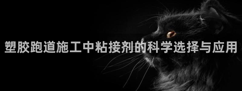 尊龙人生就是博旧