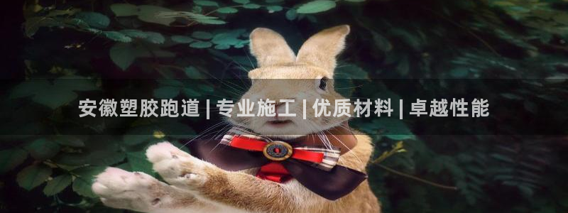 尊龙新版app