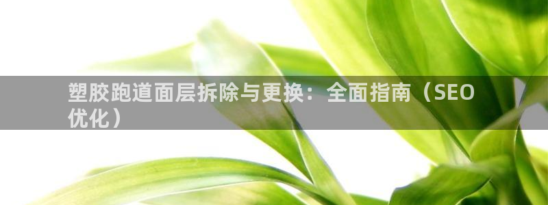 尊龙凯时是哪个国家的：塑胶跑道面层拆除与更换：全面指南（SEO 
优化）