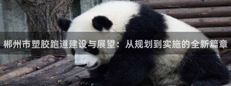 尊龙手机客户端下载
