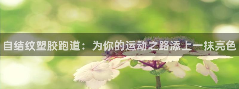 尊龙凯时官方下载