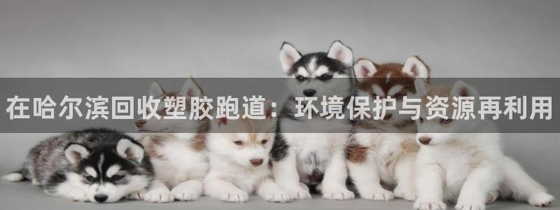 尊龙凯时处理未到账：在哈尔滨回收塑胶跑道：环境保护与资源再利