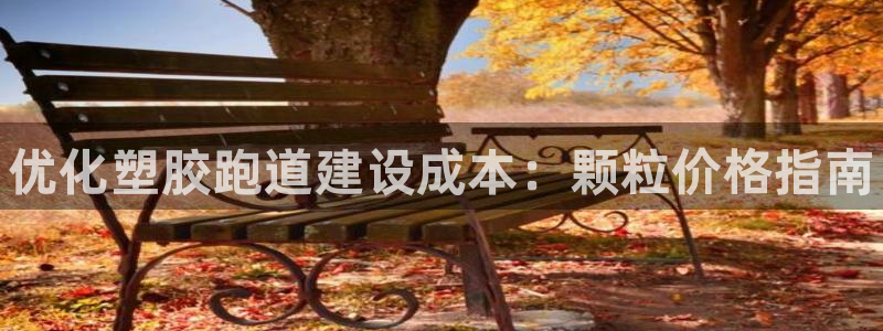 尊龙凯时网页版：优化塑胶跑道建设成本：颗粒价格指南