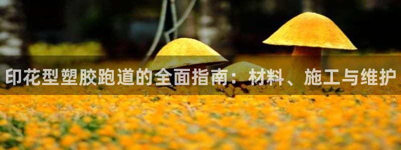 凯时官网的售后服务