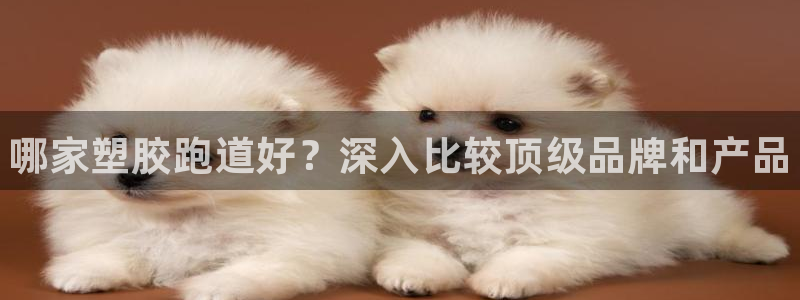 尊龙凯时导航菜单首页：哪家塑胶跑道好？深入比较顶级品