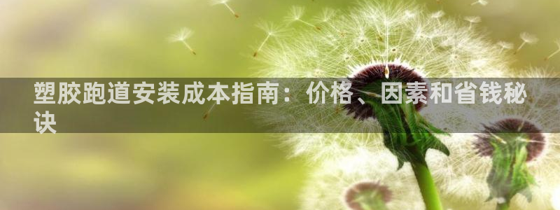 尊龙凯时有限公司：塑胶跑道安装成本指南：价格、因素和