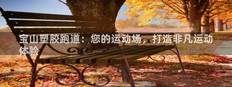 尊龙凯时网娱乐最新版下载：宝山塑胶跑道：您的运动场，