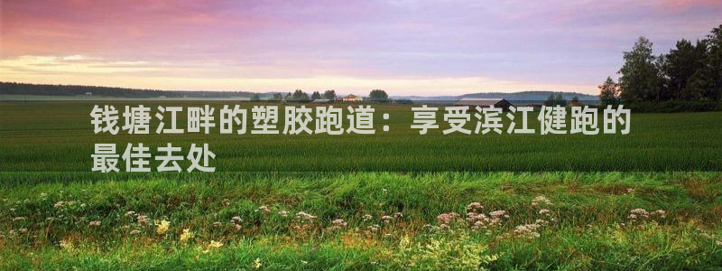 尊龙人生就是博网站：钱塘江畔的塑胶跑道：享受滨江健跑