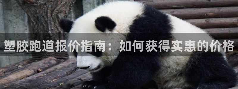 尊龙现金：塑胶跑道报价指南：如何获得实惠的价格