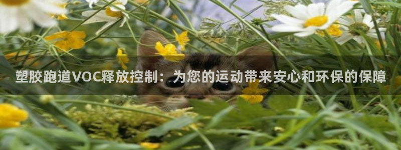 尊龙凯时白家乐Abb下载：塑胶跑道VOC释放控制：为您的运动