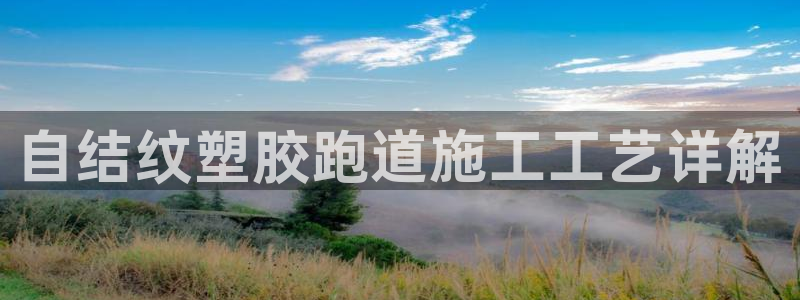 尊龙凯时代理能提出来不：自结纹塑胶跑道施工工艺详解