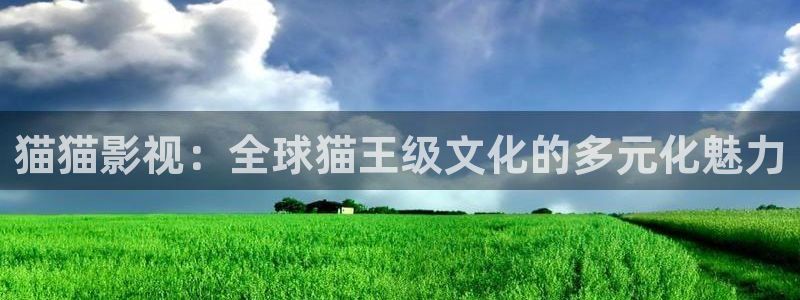 三米影视2024年最新电视剧：猫猫影视：全球猫王级文化的多元化魅力