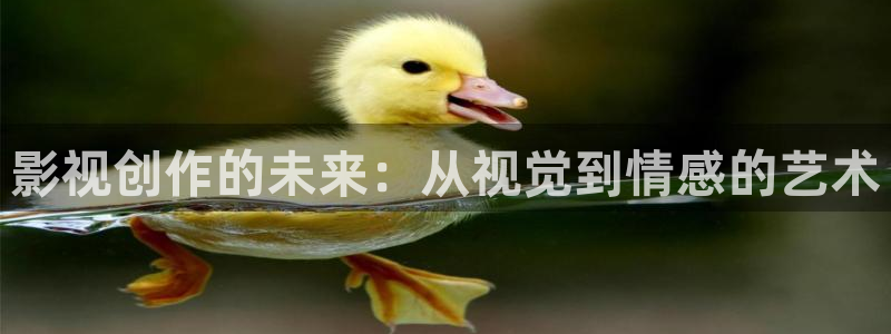 三米影视电视剧资源：影视创作的未来：从视觉到情感的艺术