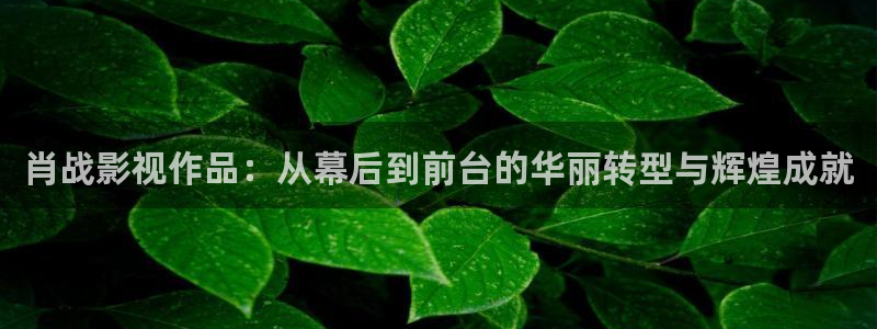 三米影视官网大全：肖战影视作品：从幕后到前台的华丽转型与辉煌成就