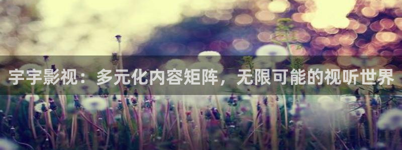 三米影视大全免费观看电视剧：宇宇影视：多元化内容矩阵，无限可能的视听世界