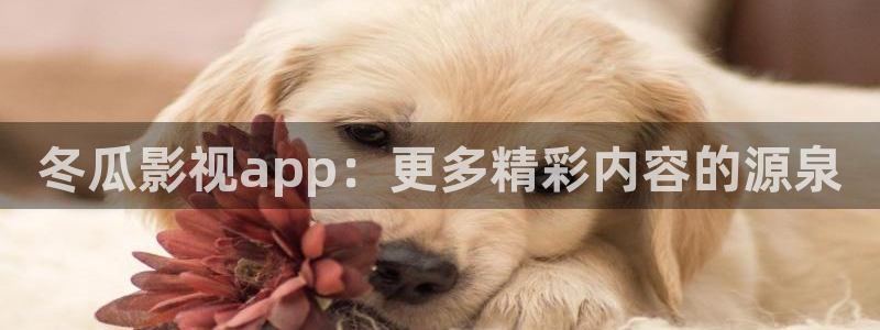 三米影视下载：冬瓜影视app：更多精彩内容的源泉