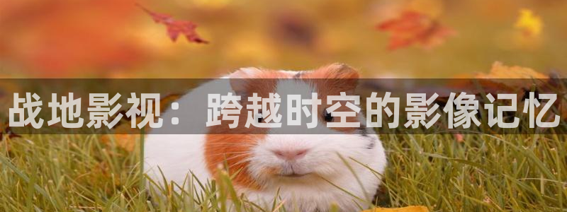 三米影视一路朝阳：战地影视：跨越时空的影像记忆