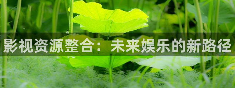 三米影院电视免费观看：影视资源整合：未来娱乐的新路径